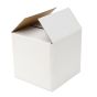 Regular Slotted 120 x 120 x 120mm Mailing Box White 100pcs