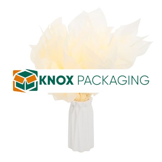 480 Sheets Acid Free Tissue Paper 500x750mm 17gsm Vanilla