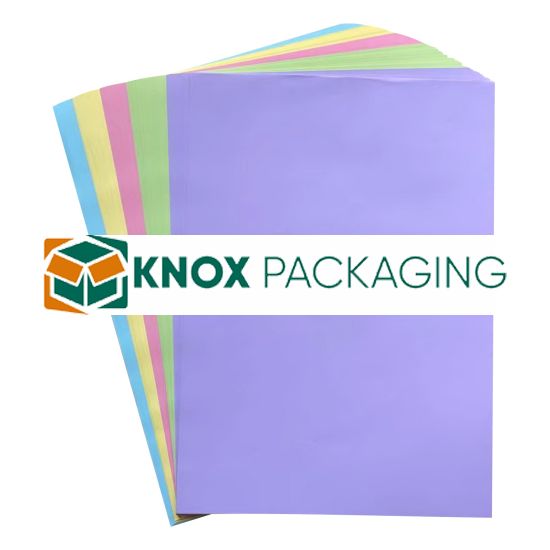 A3 Office Paper 80GSM 100 Sheets Pastel Assorted