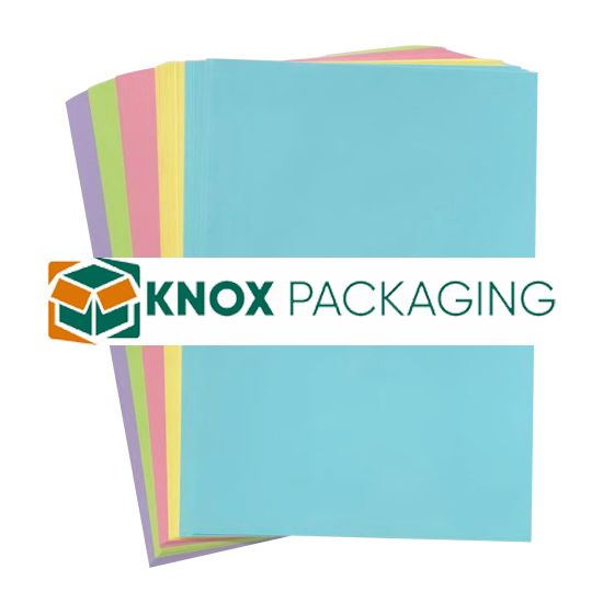 A4 Office Paper 80GSM 100 Sheets Pastel Assorted