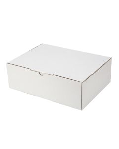 100pcs 310 x 225 x 102mm Diecut Mailing Box White