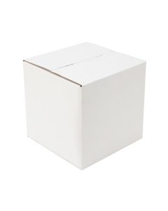 Regular Slotted 120 x 120 x 120mm Mailing Box White 100pcs