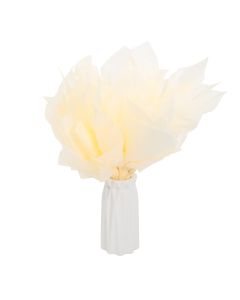 480 Sheets Acid Free Tissue Paper 500x750mm 17gsm Vanilla