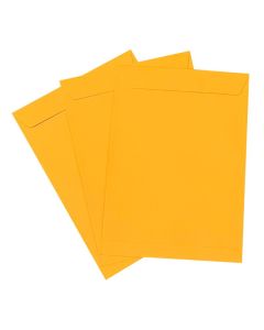 250pcs B4 Gold Pocket Plainface Envelopes 353x250mm 90GSM